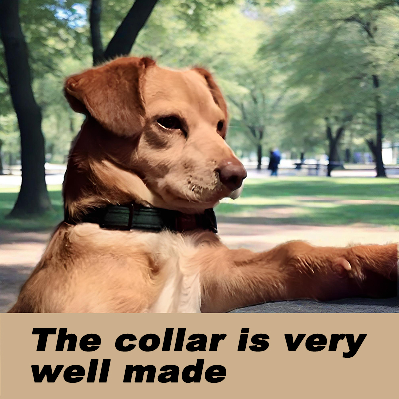 Dog and Cat Collar with Bow