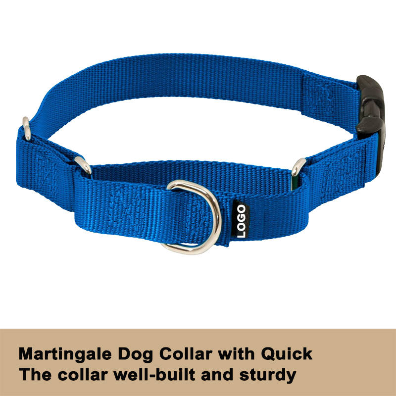 Martingale Dog Collar with Quick-Snap Buckle 