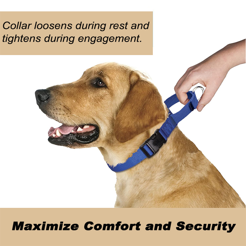 Martingale Dog Collar with Quick-Snap Buckle 