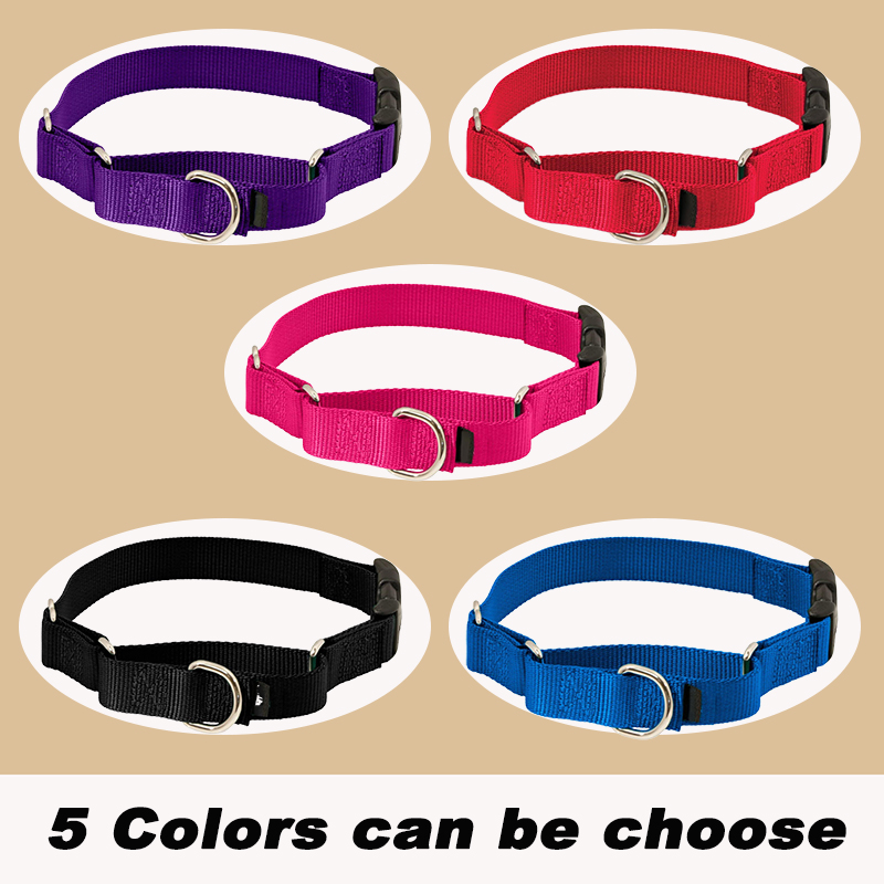 Martingale Dog Collar with Quick-Snap Buckle 