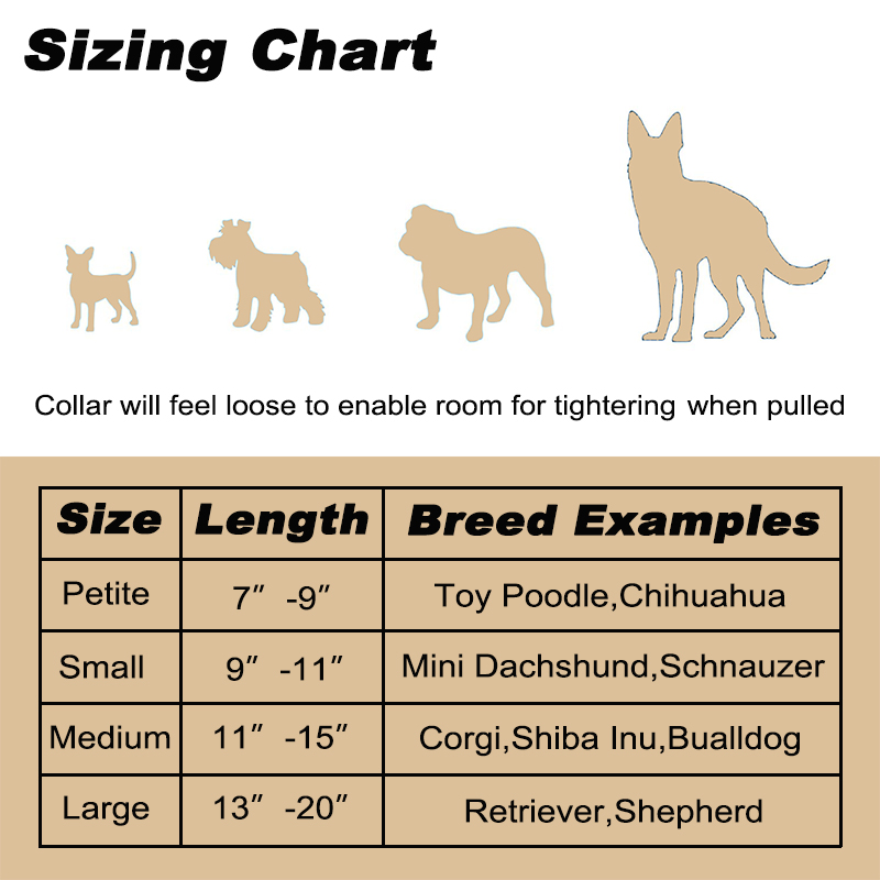 Martingale Dog Collar with Quick-Snap Buckle 