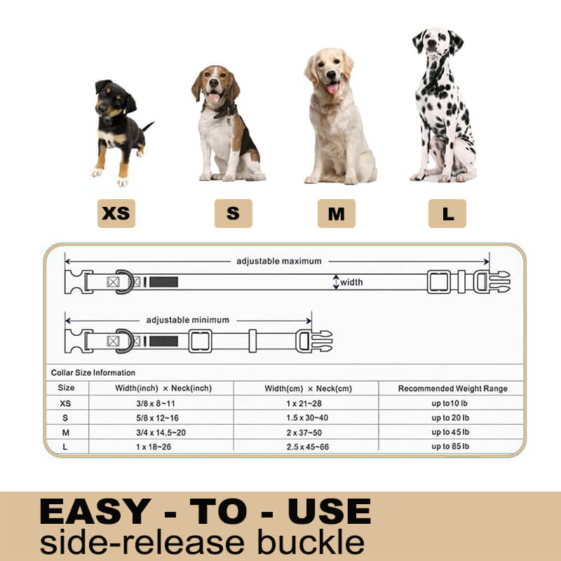 Adjustable Classic Solid Nylon Dog Collar