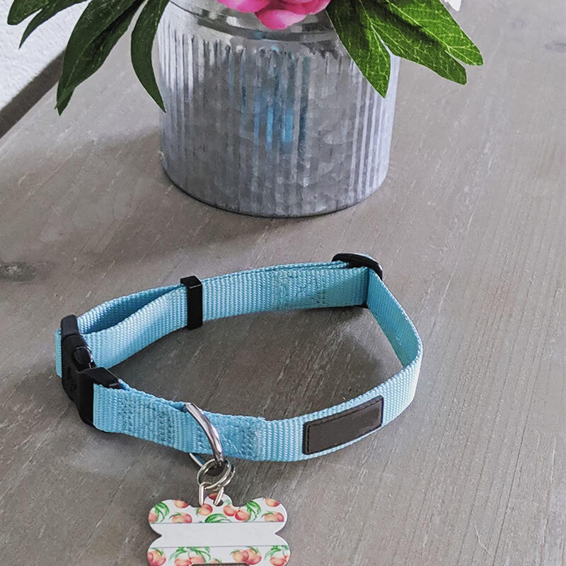 Adjustable Classic Solid Nylon Dog Collar