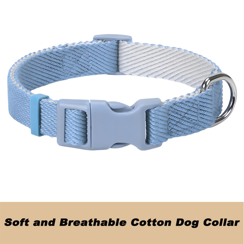 Personalized Dog Harness and Leash Set
