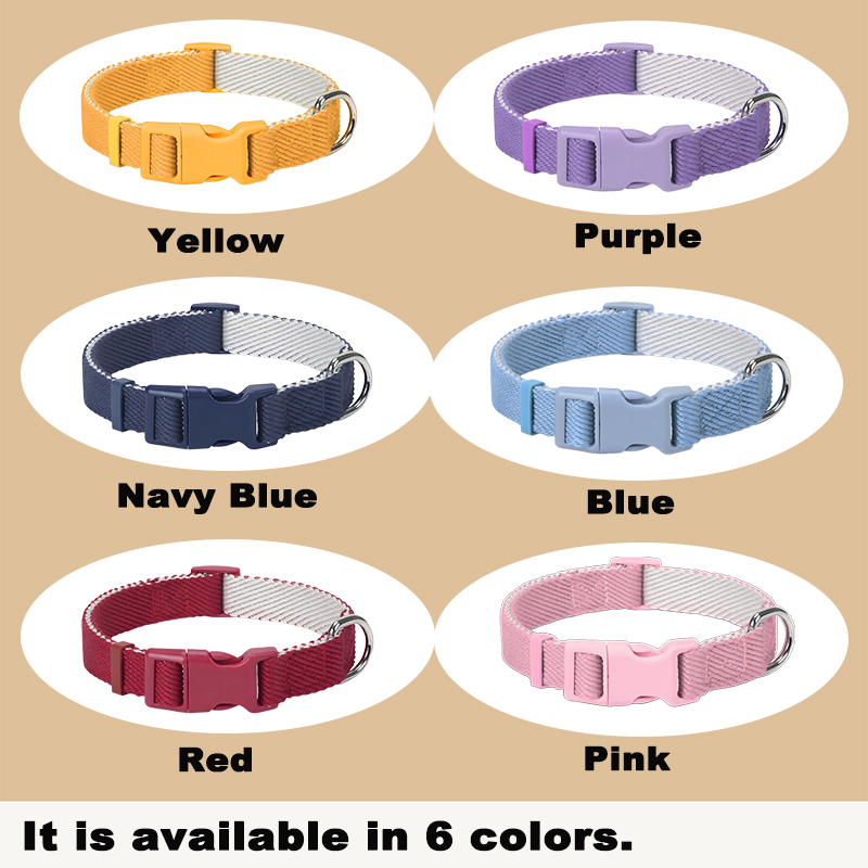 Personalized Dog Harness and Leash Set