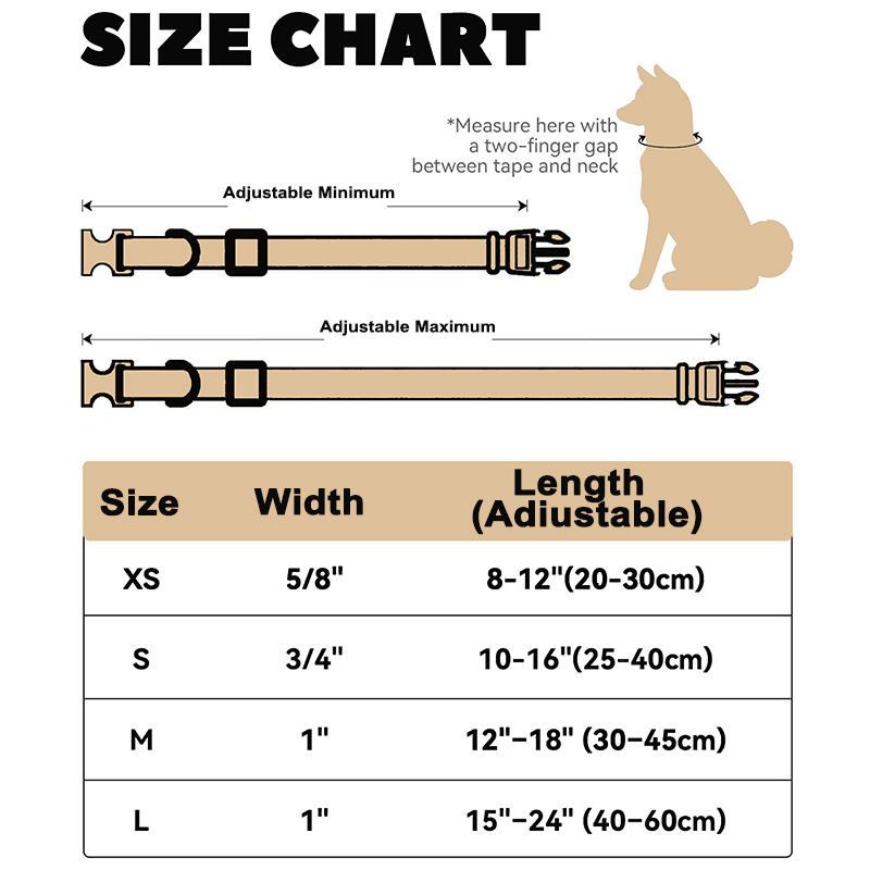Personalized Dog Harness and Leash Set