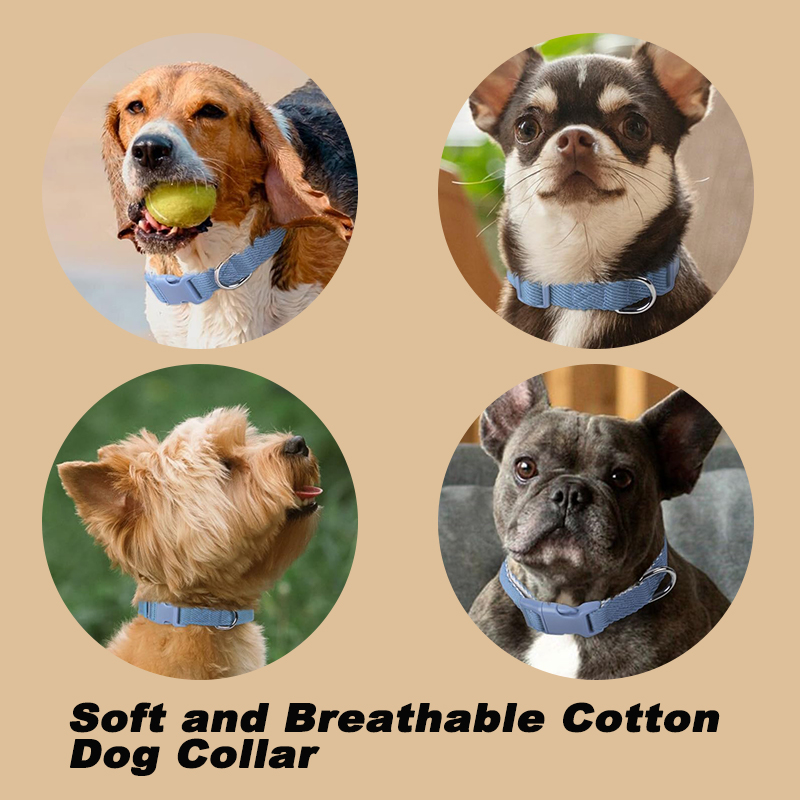 Personalized Dog Harness and Leash Set