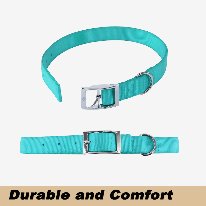 Dog Collar with Double Nylon Webbing
