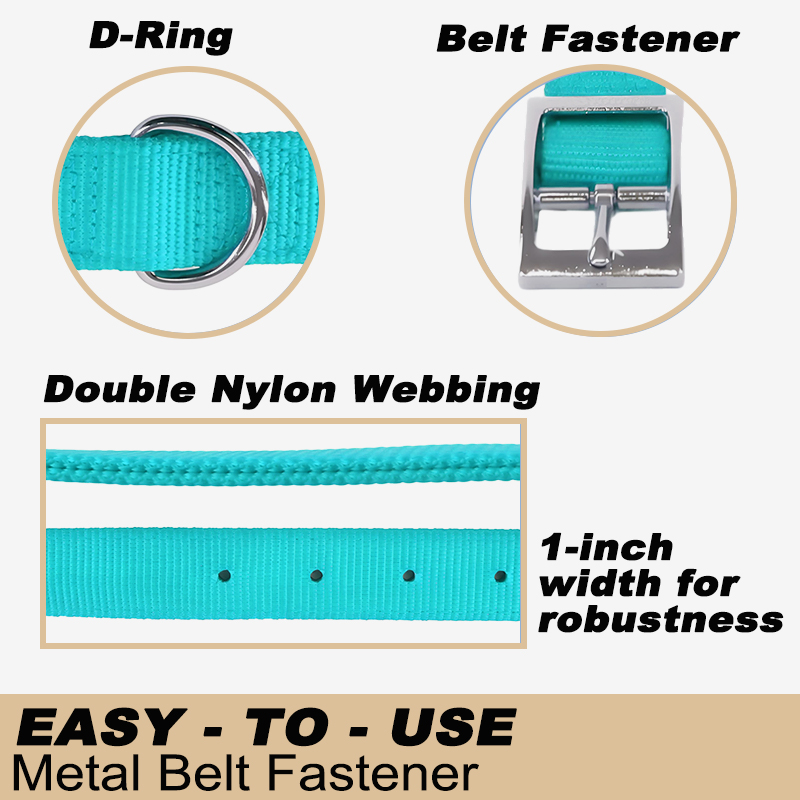 Dog Collar with Double Nylon Webbing