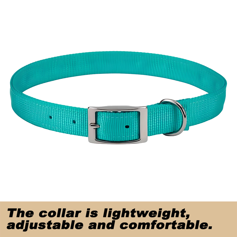Dog Collar with Double Nylon Webbing