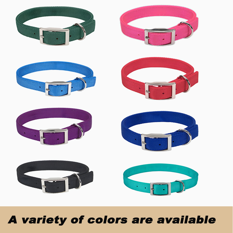 Dog Collar with Double Nylon Webbing
