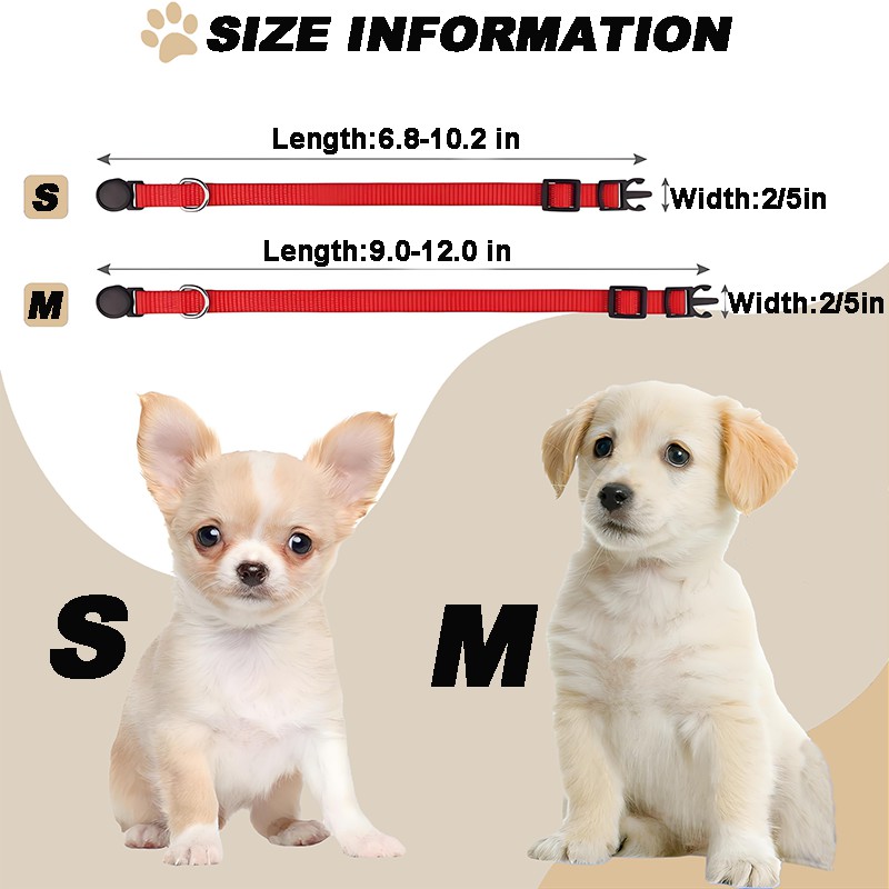 Nylon Collar for Small Puppy