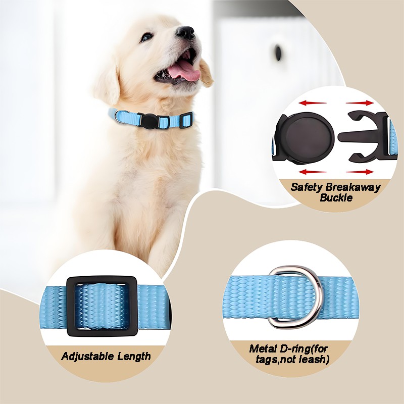 Nylon Collar for Small Puppy