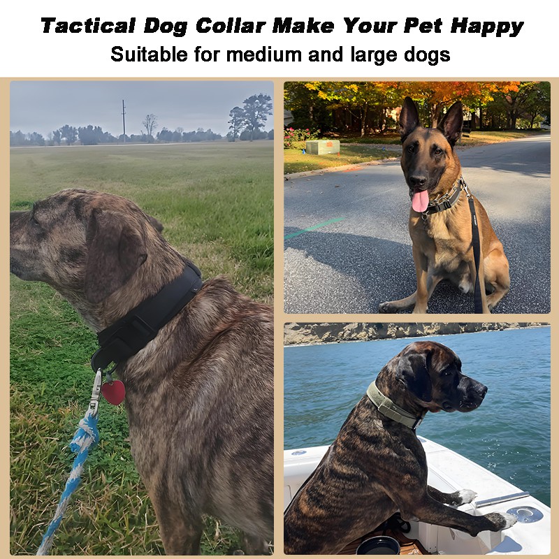 Tactical Dog Collar Training Dog Collar