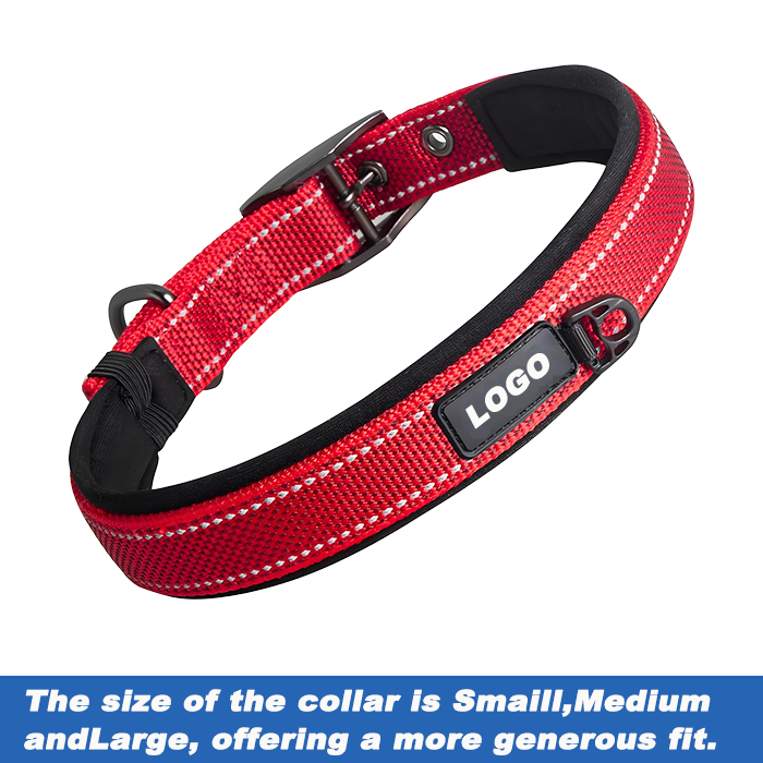 custom dog collars