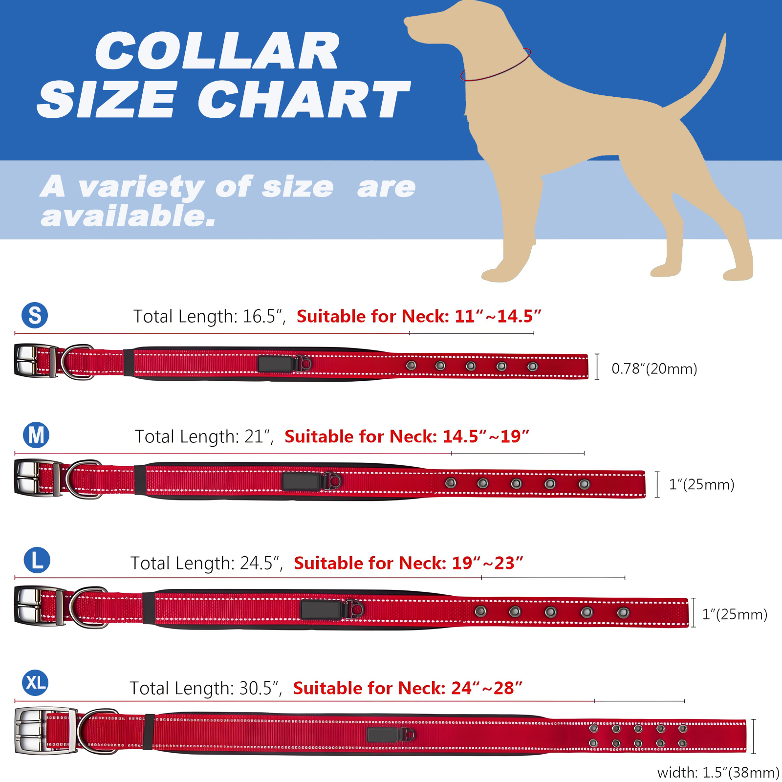 custom dog collars