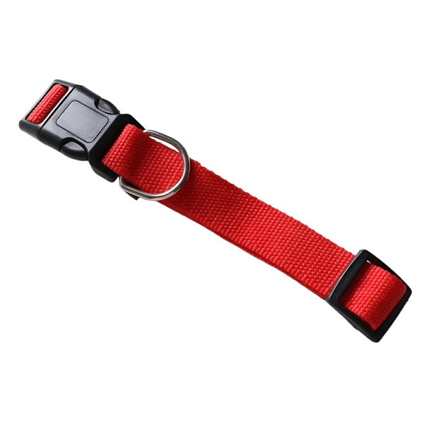 pet collar