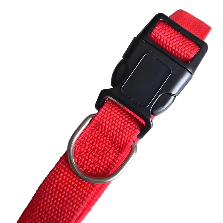 pet collar