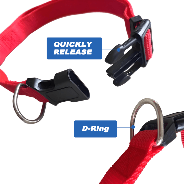 pet collar
