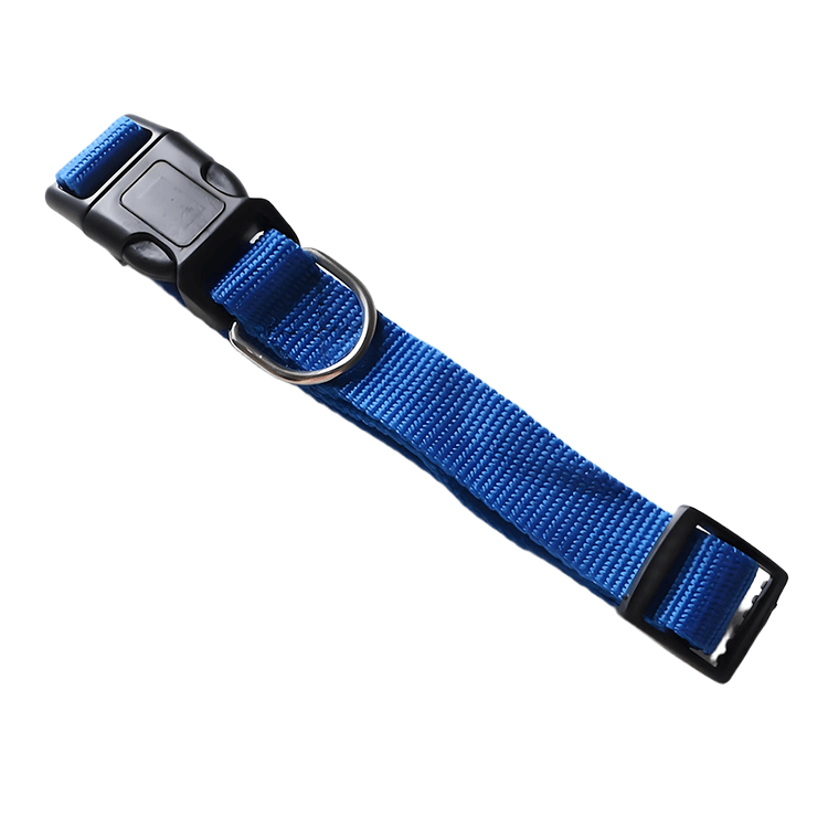 personalized dog collars