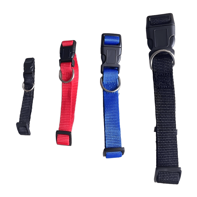personalized dog collars