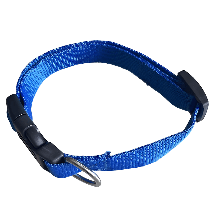 personalized dog collars