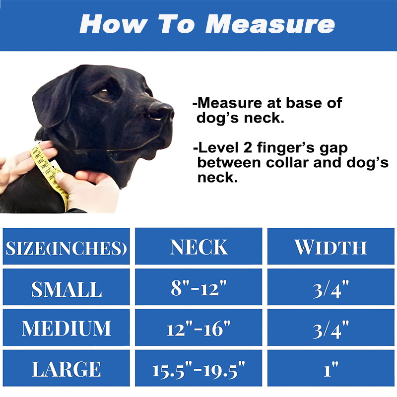comfortable dog collars