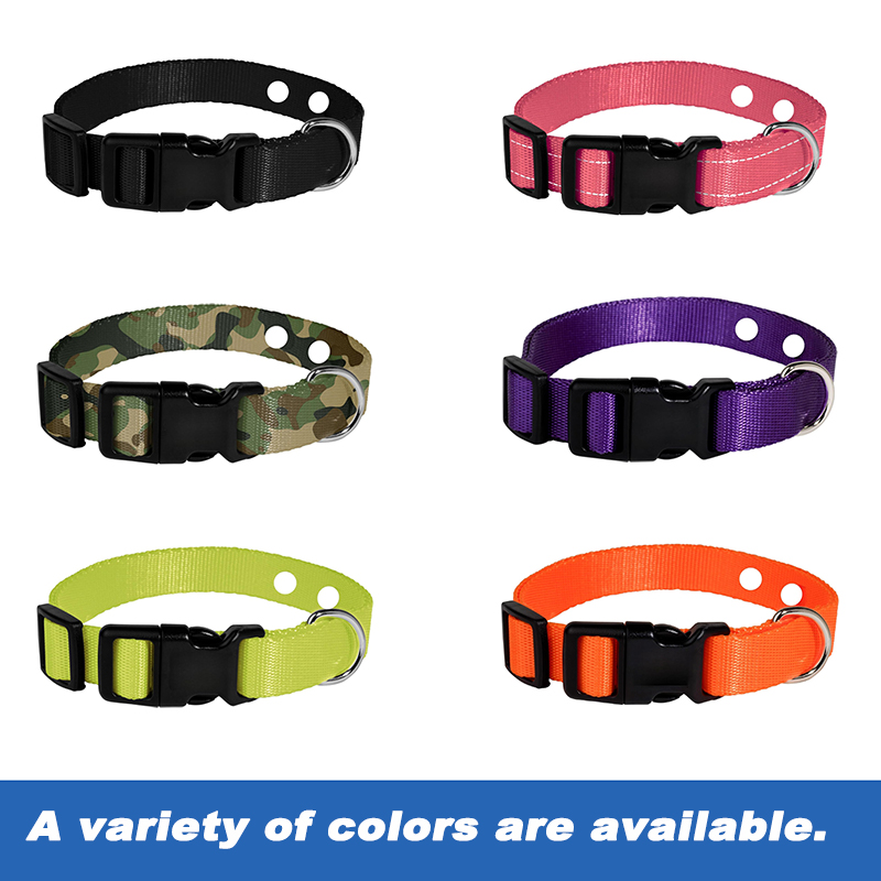 Shock Collar for Dogs