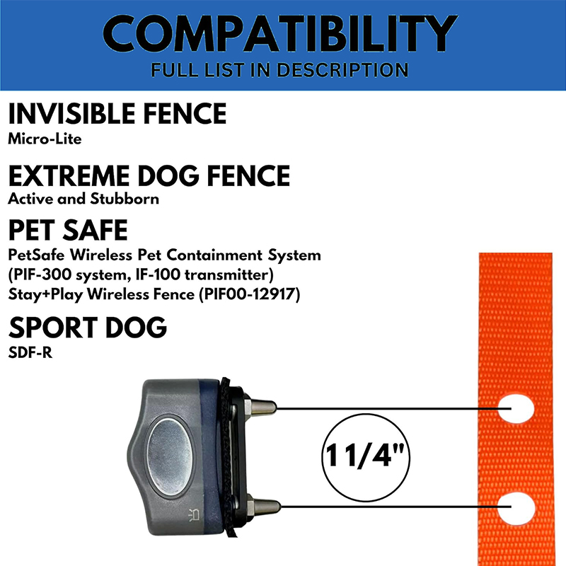 Shock Collar for Dogs