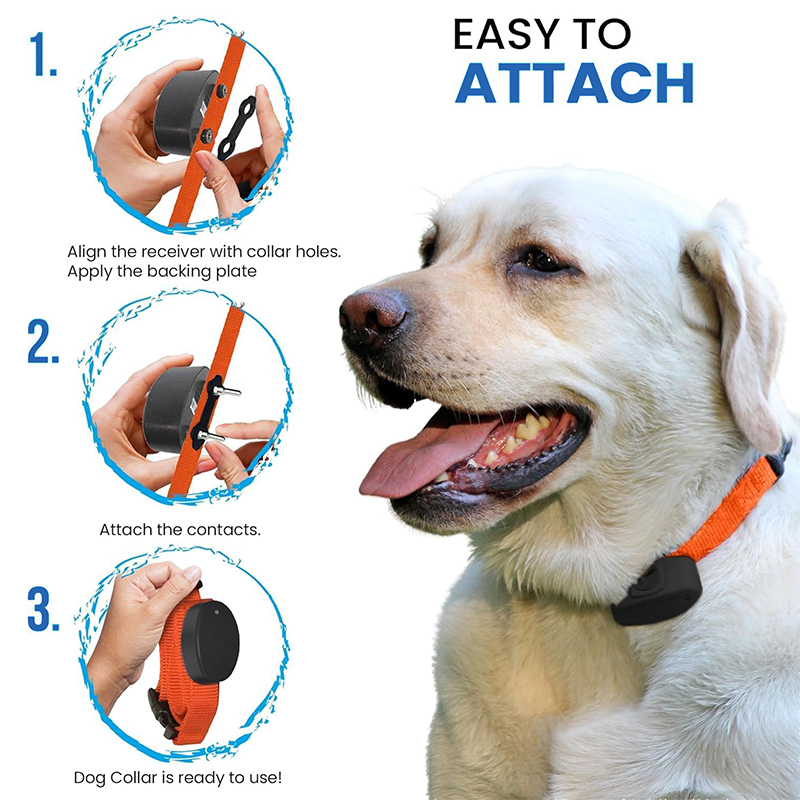 Shock Collar for Dogs