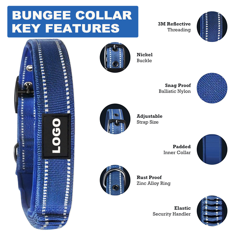 Heavy Duty Dog Neck Collar Manufacturer