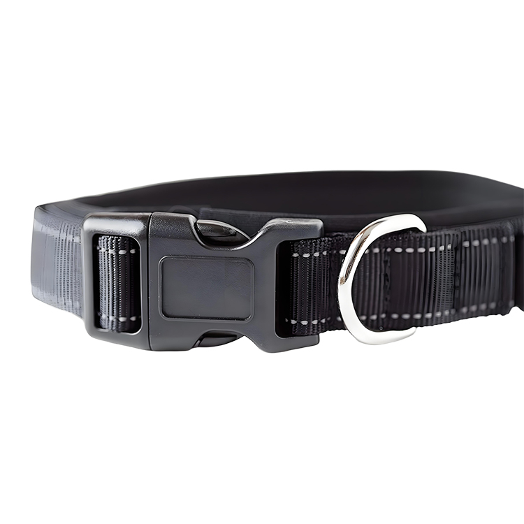 dog walking collars