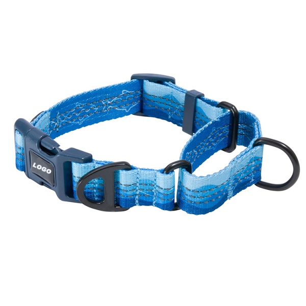 modern dog collars