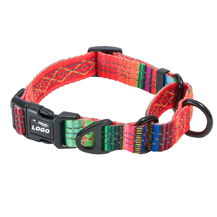modern dog collars