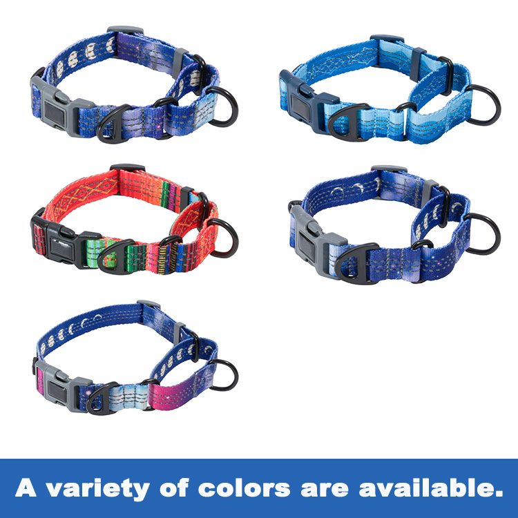 modern dog collars
