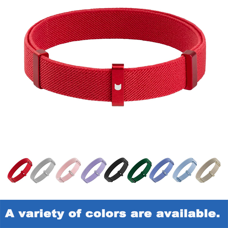 Personalized cat collars