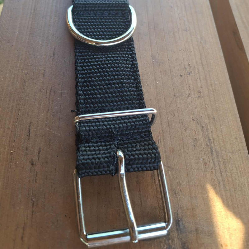 Wide Dog Collars For Large Breeds