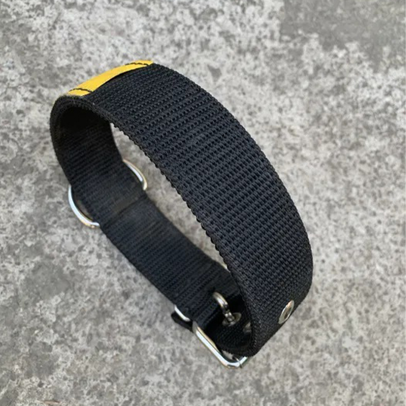 Wide Dog Collars For Large Breeds