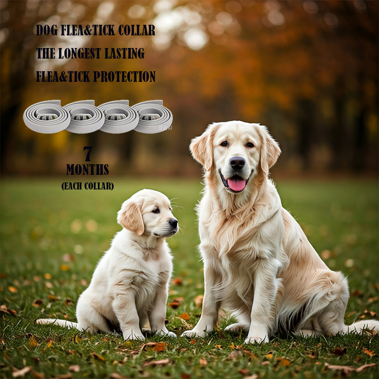 Dog Flea & Tick Prevention Collar 