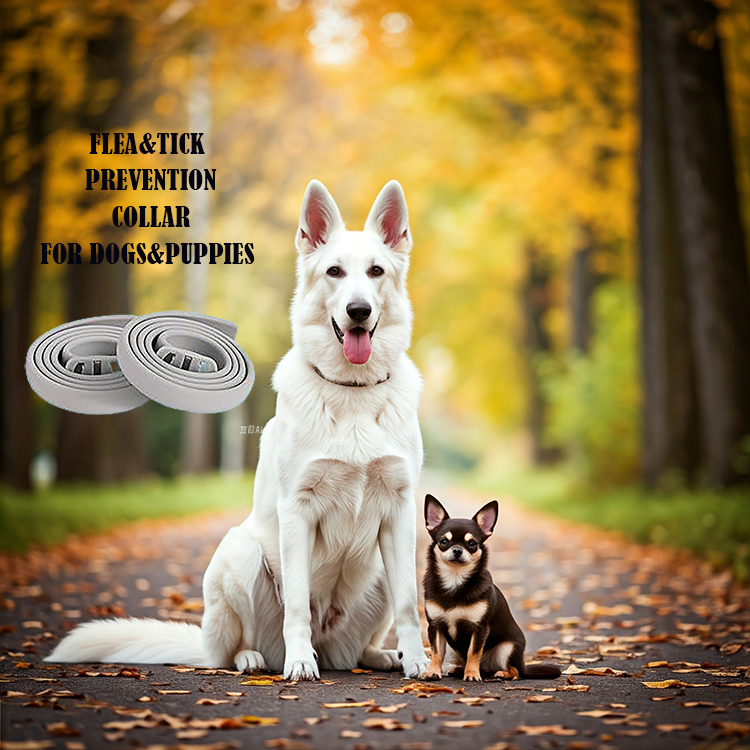 Dog Flea & Tick Prevention Collar 