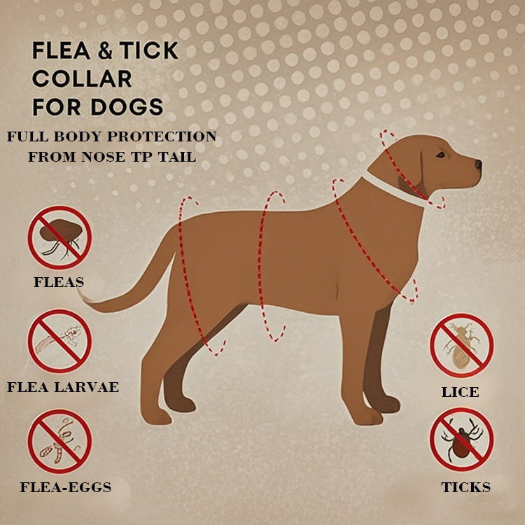 Dog Flea & Tick Prevention Collar 