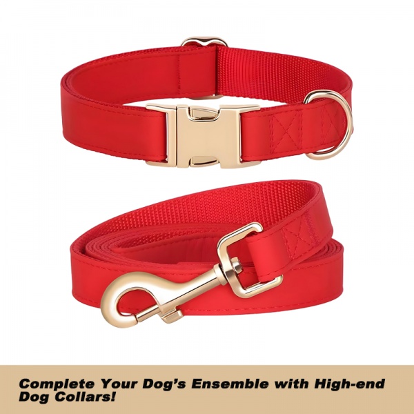 Soft Dog Collar and Leash Set