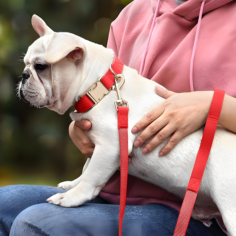 Soft Dog Collar and Leash Set