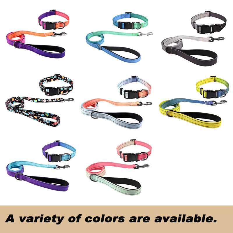 Reflective Dog Collar and Leash Set