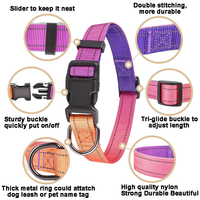 Reflective Dog Collar and Leash Set