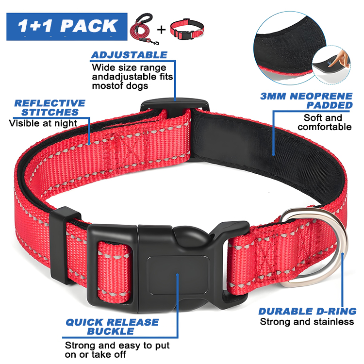 Rope Leash and Collar
