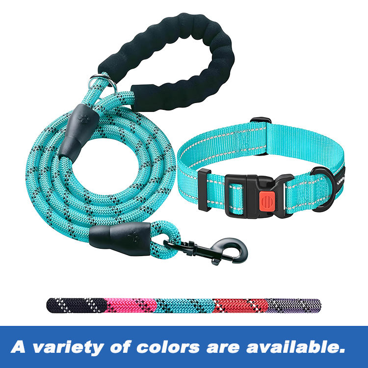 stylish dog collars and leashes