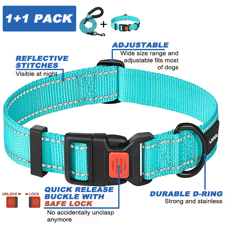 stylish dog collars and leashes
