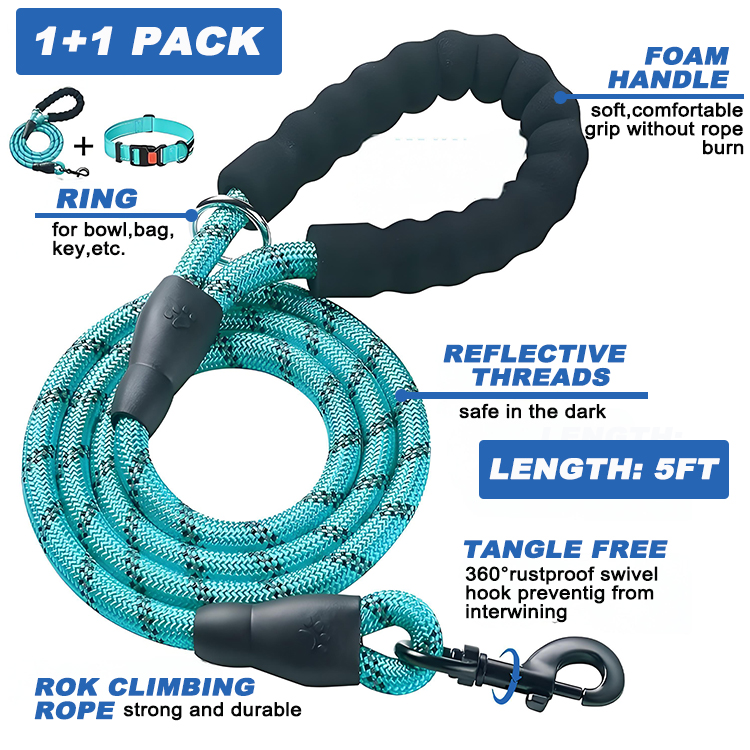 stylish dog collars and leashes
