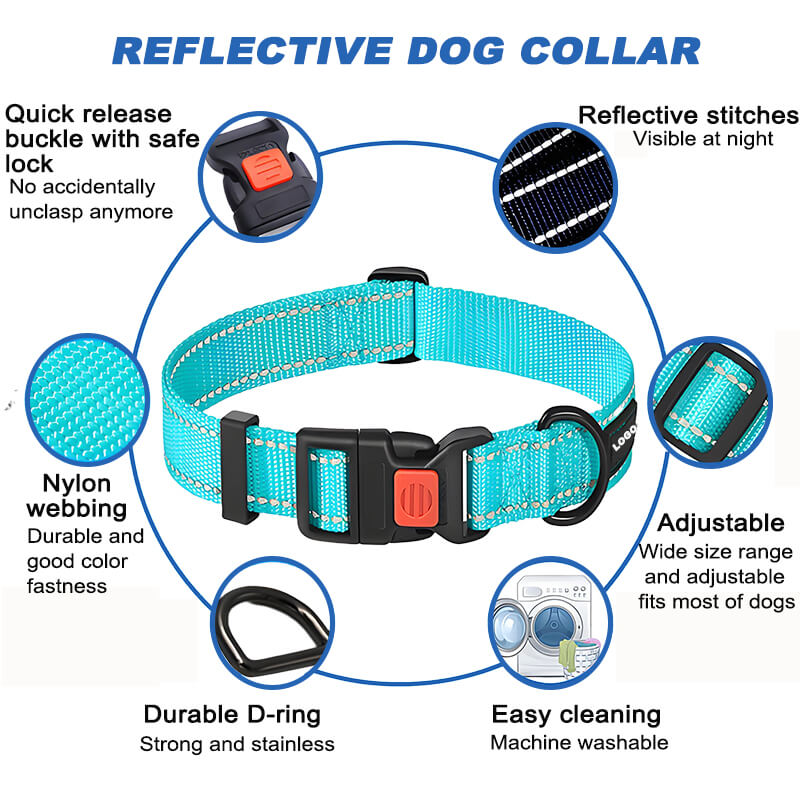 stylish dog collars and leashes